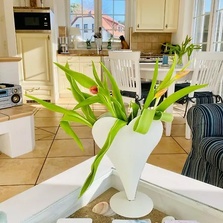 Neu ! Haus Rosenberg Neu!